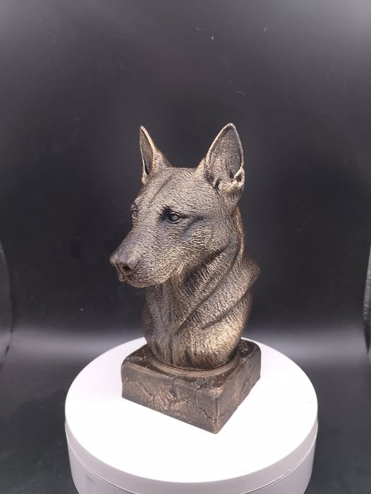Belgian Malinois Bust