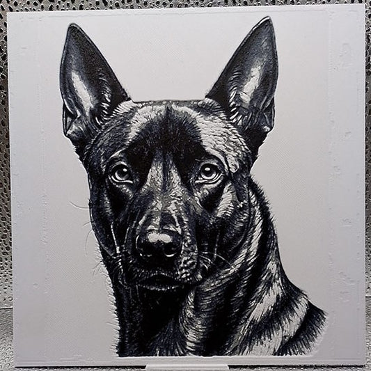 Belgian Malinois Hueforge