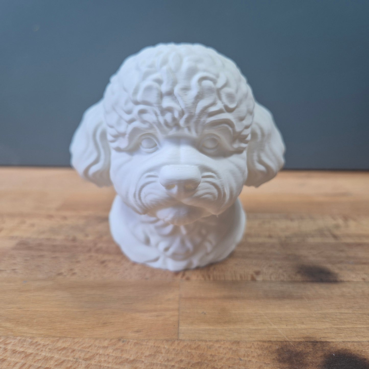 Bichon Frise Bust