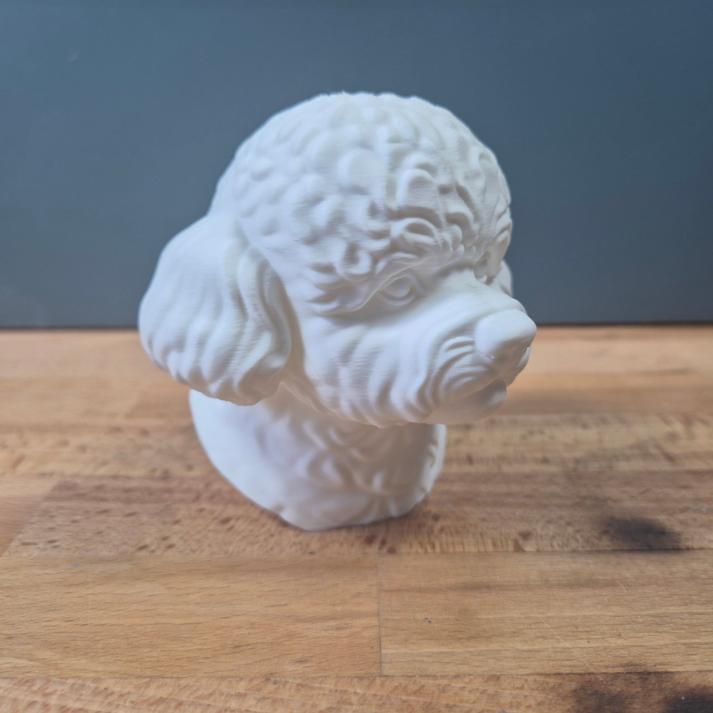 Bichon Frise Bust