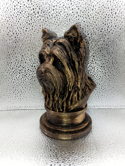 Biewer Terrier Bust