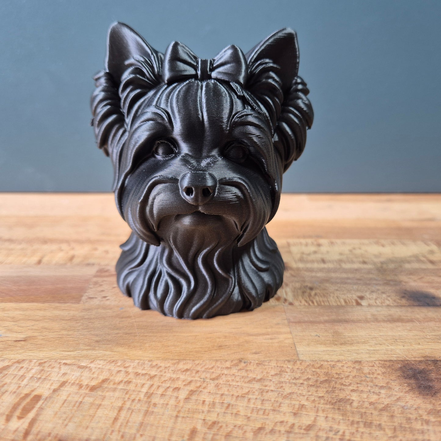 Biewer Yorkshire Terrier Bust