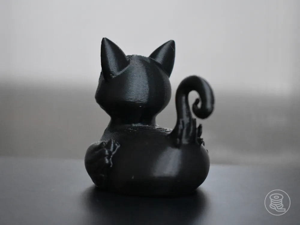 Black Cat Duck