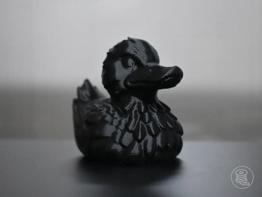 Black Raven Duck