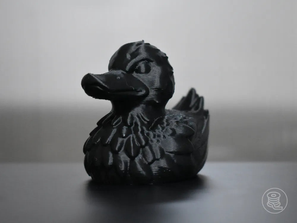 Black Raven Duck