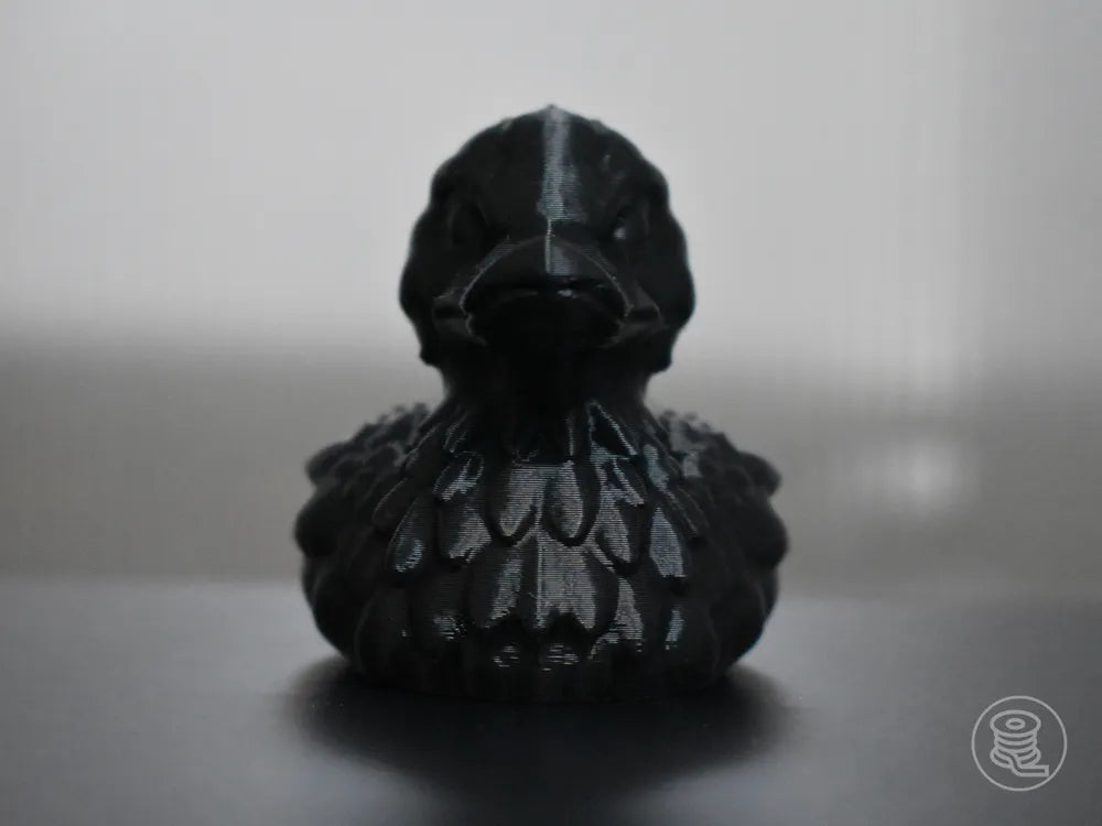 Black Raven Duck