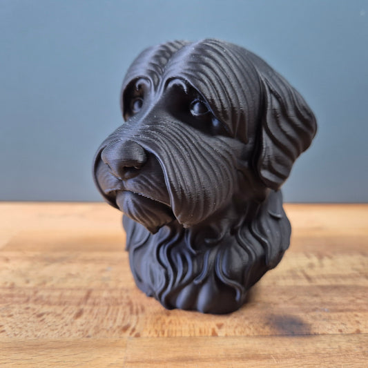 Bobtail (Schapendoes) Bust