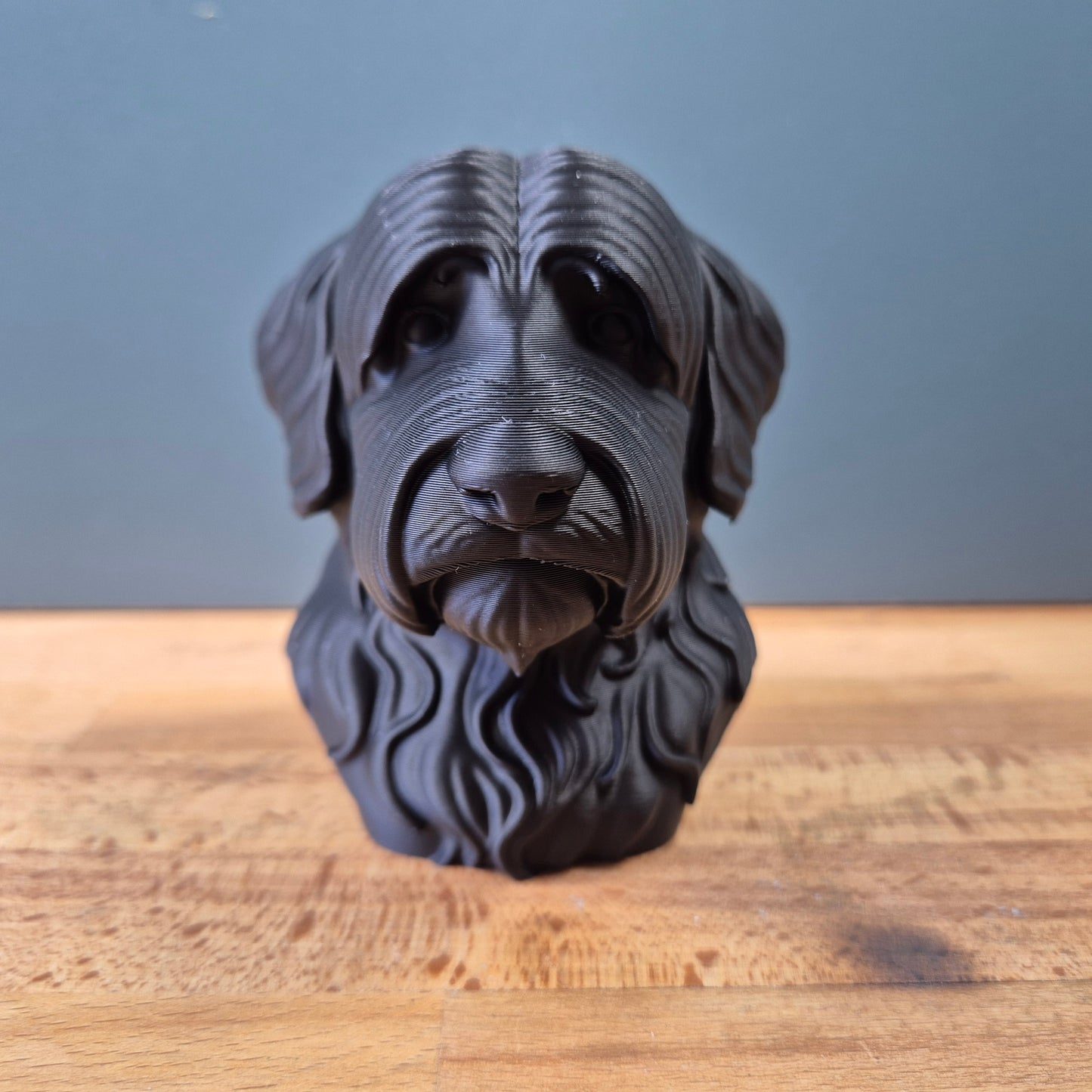 Bobtail (Schapendoes) Bust