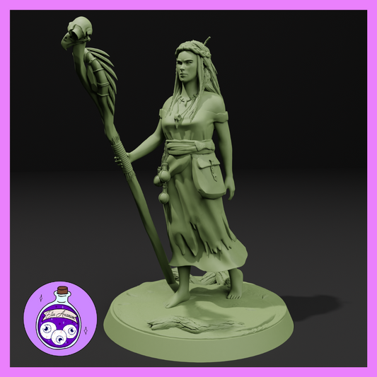 Dungeons & Dragons Bog Witch Female Human Druid Miniature