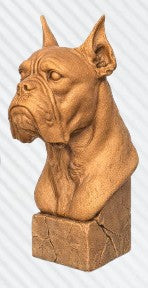 Boxer (Cropped Ears) Bust