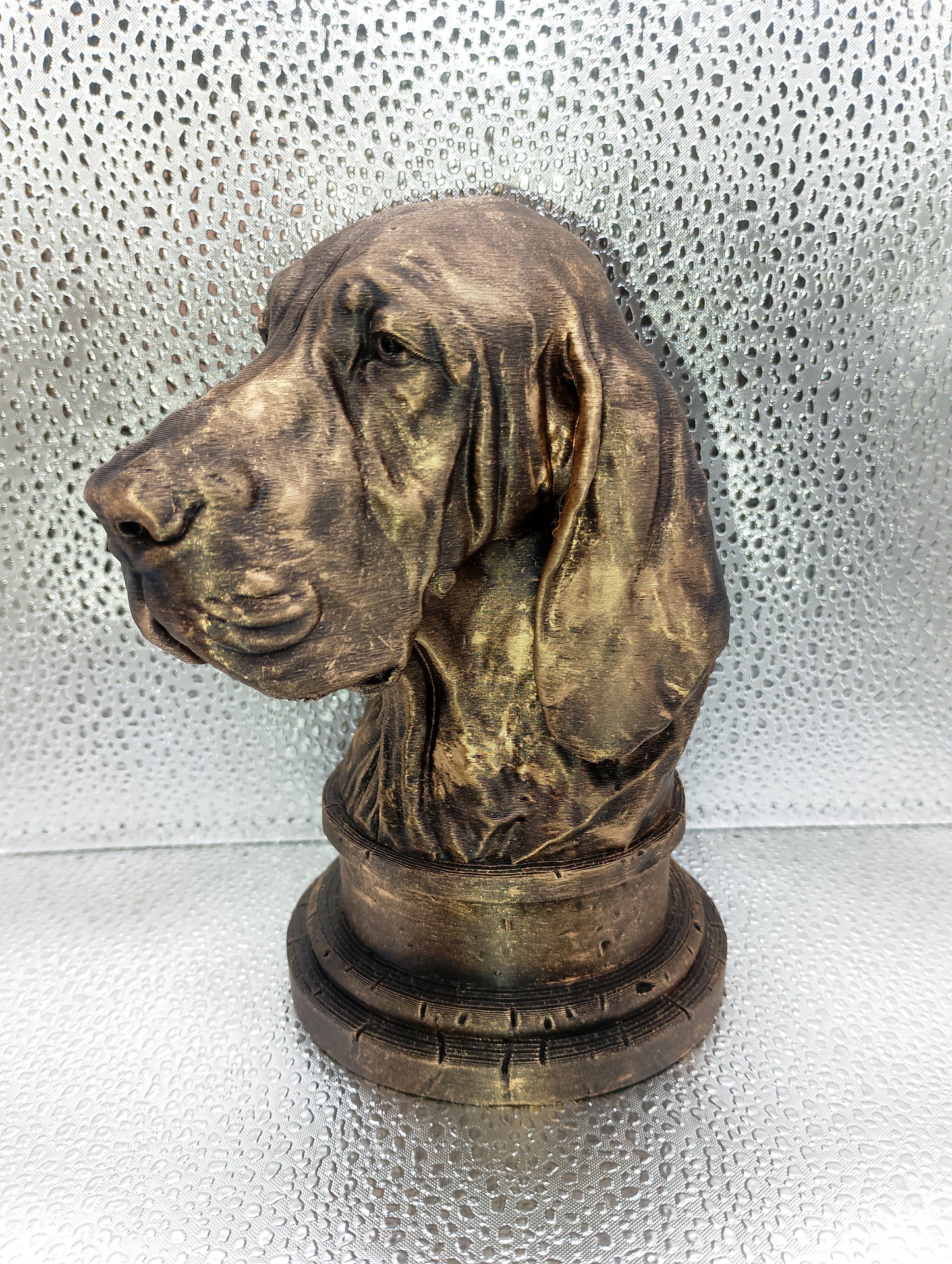 Bracco Italiano Bust