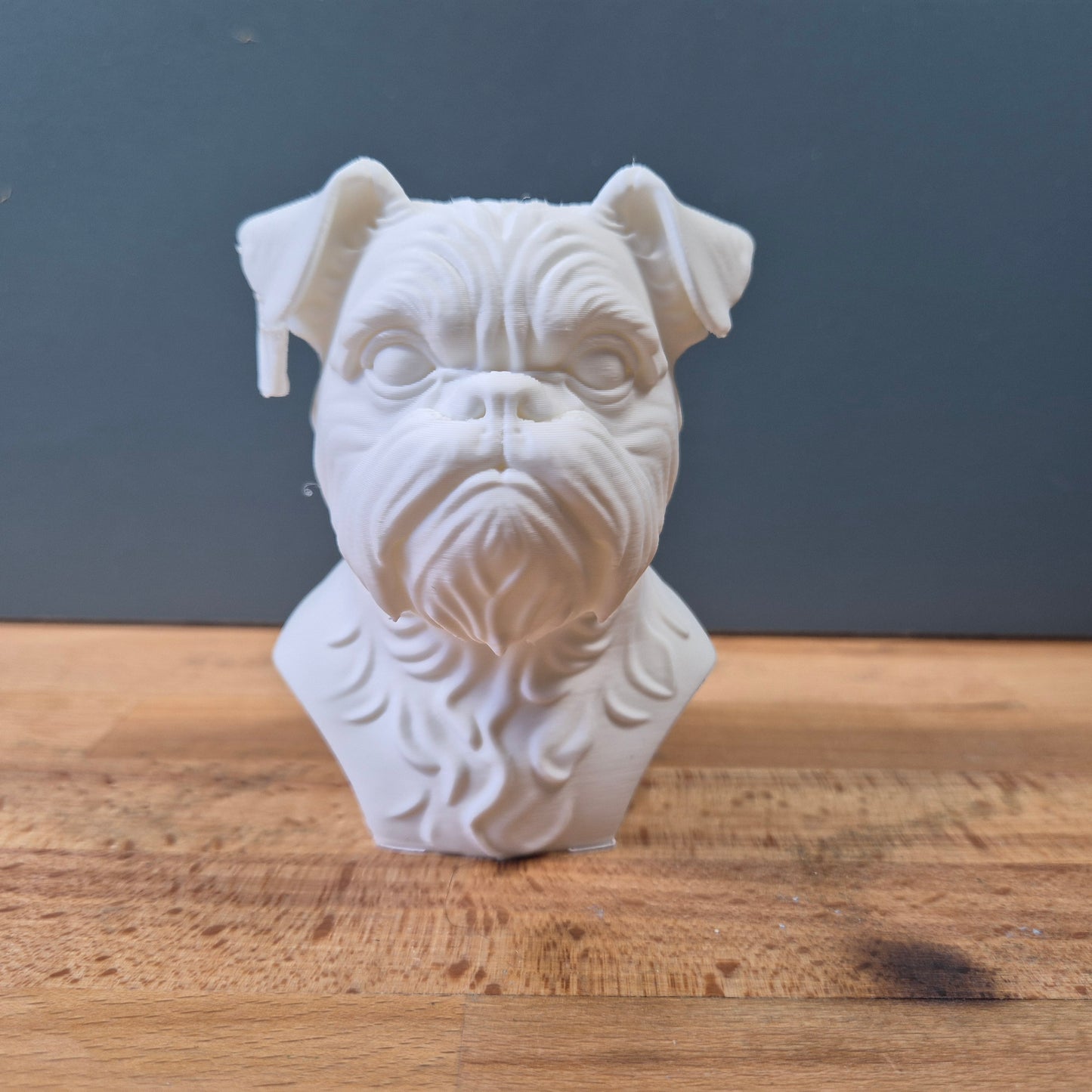 Brussels Griffon Bust