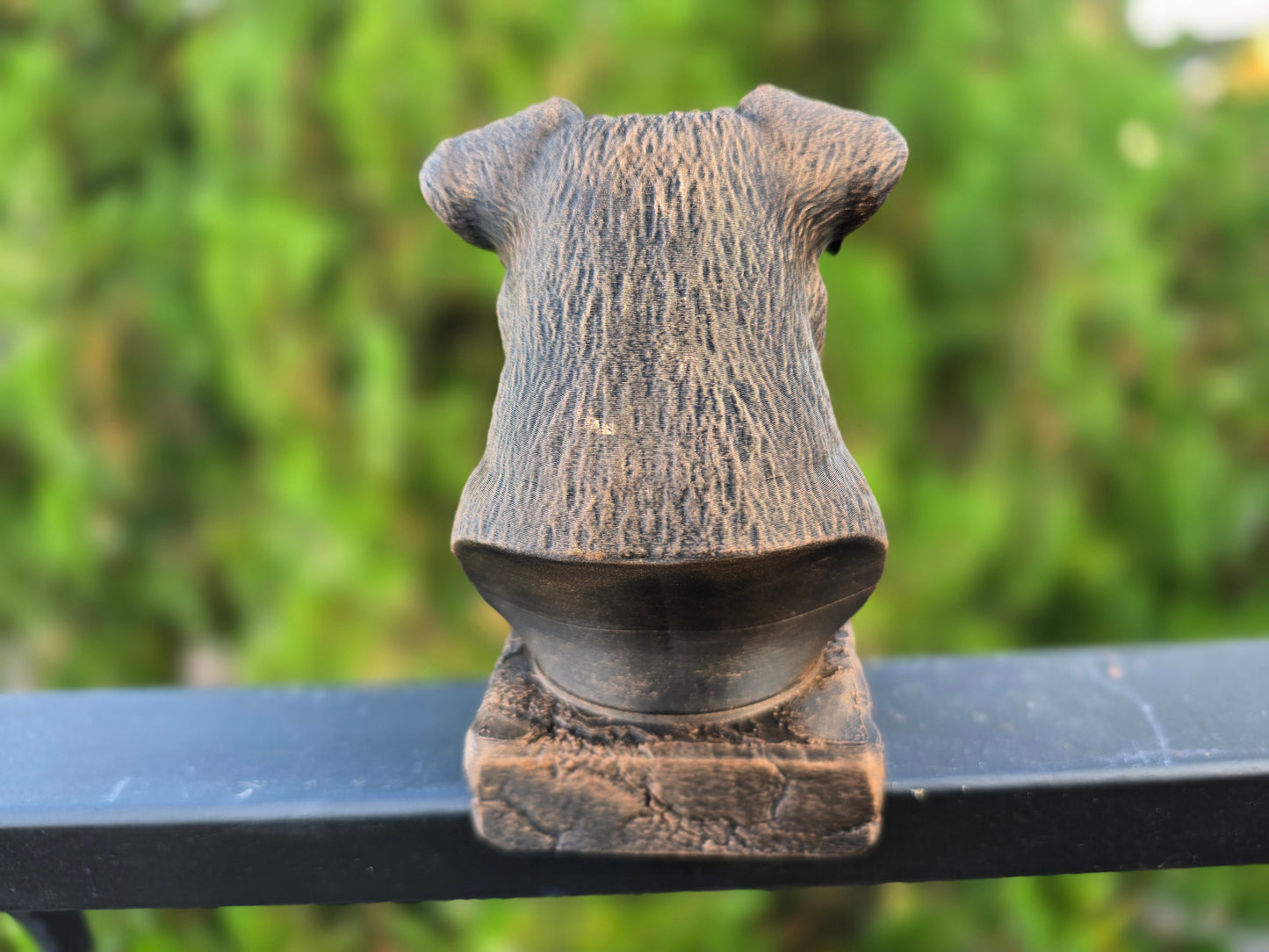 Bulloxer Bust