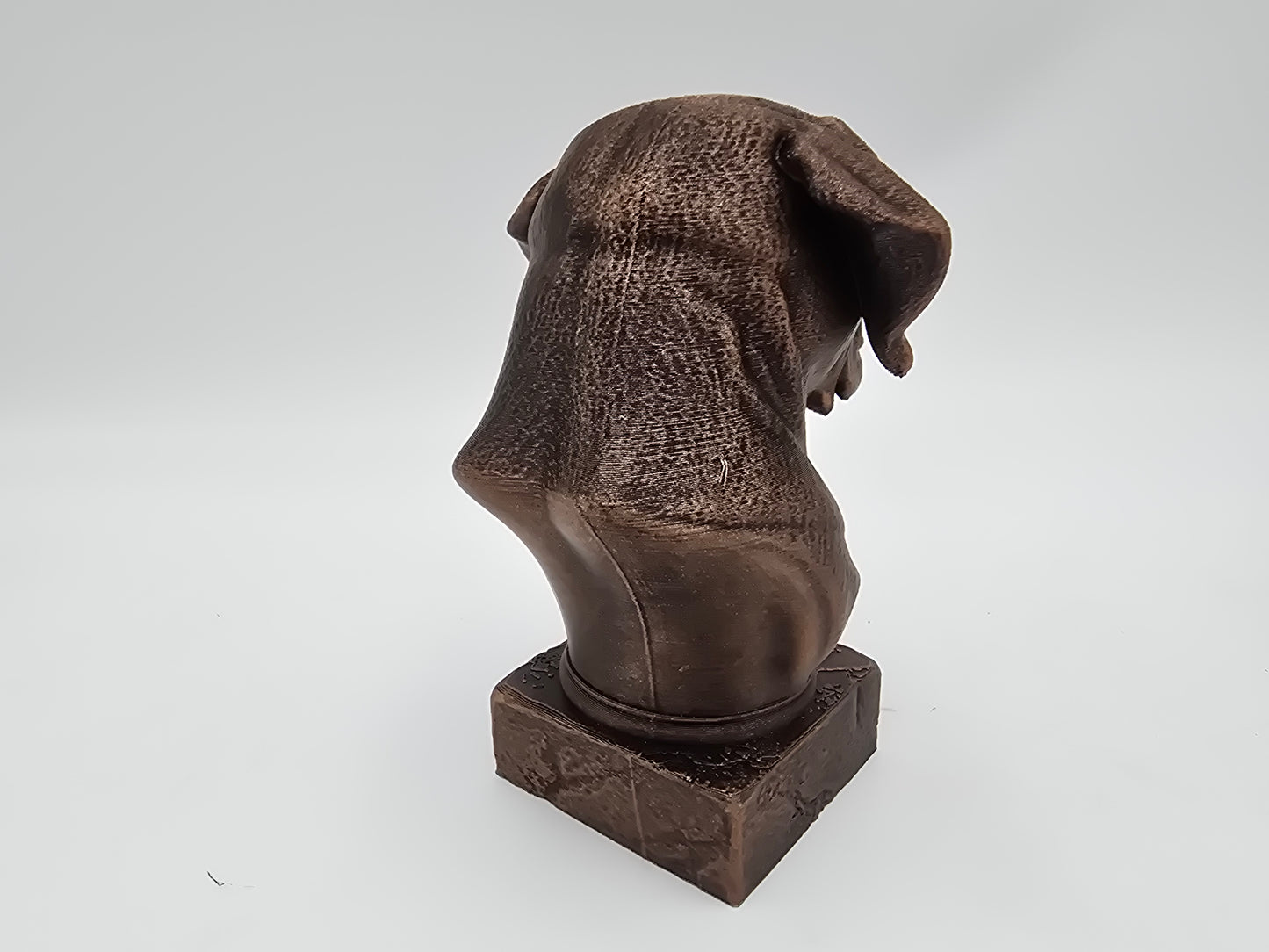 Cane Corso Bust