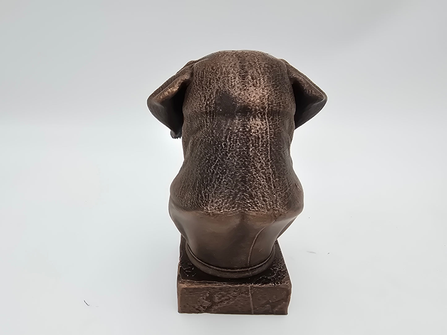 Cane Corso Bust