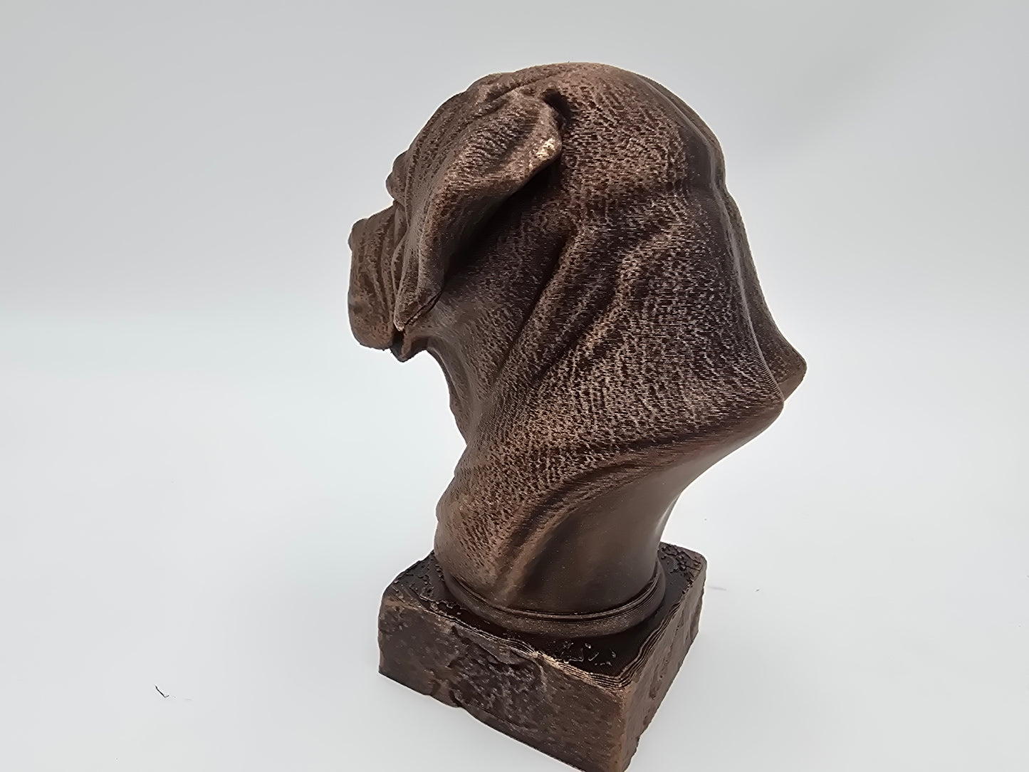 Cane Corso Bust