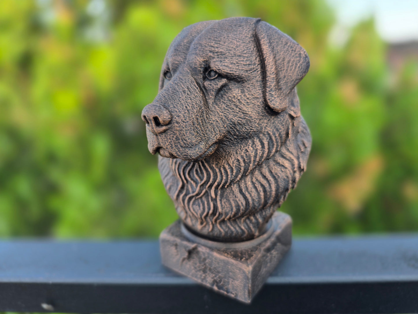 Caucasian Shepherd Bust