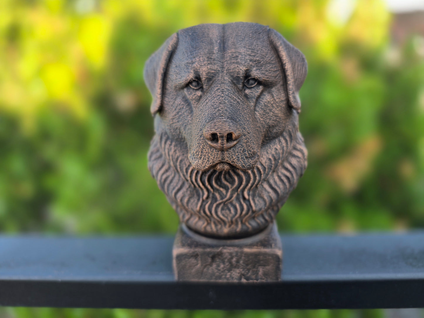 Caucasian Shepherd Bust