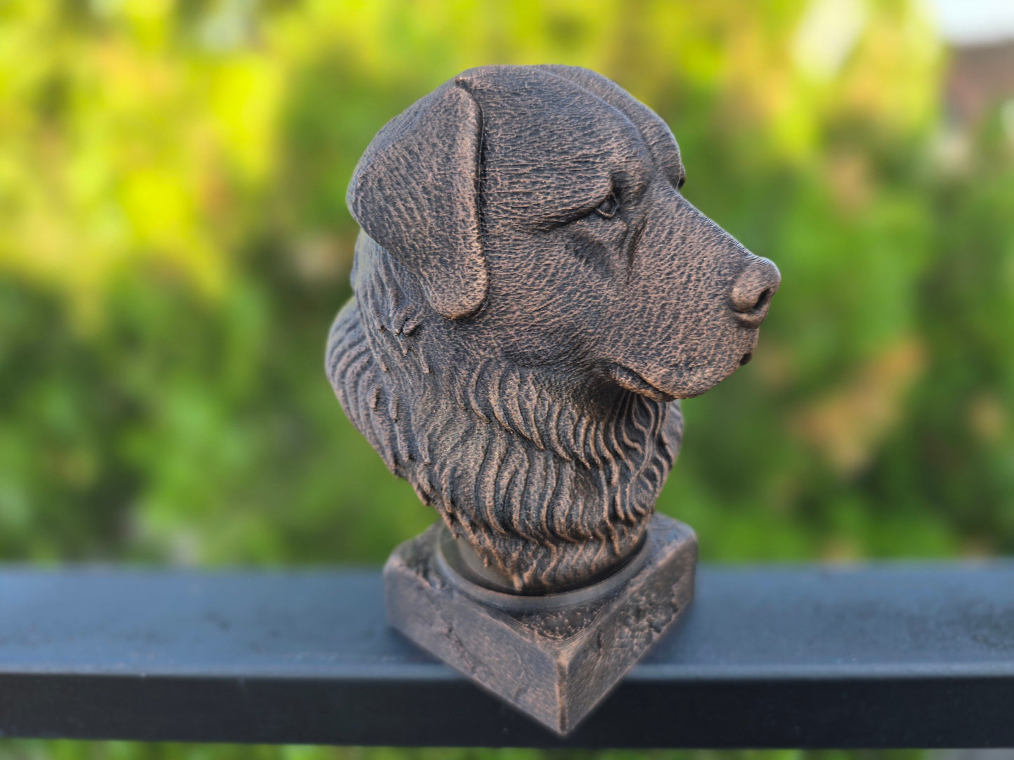 Caucasian Shepherd Bust