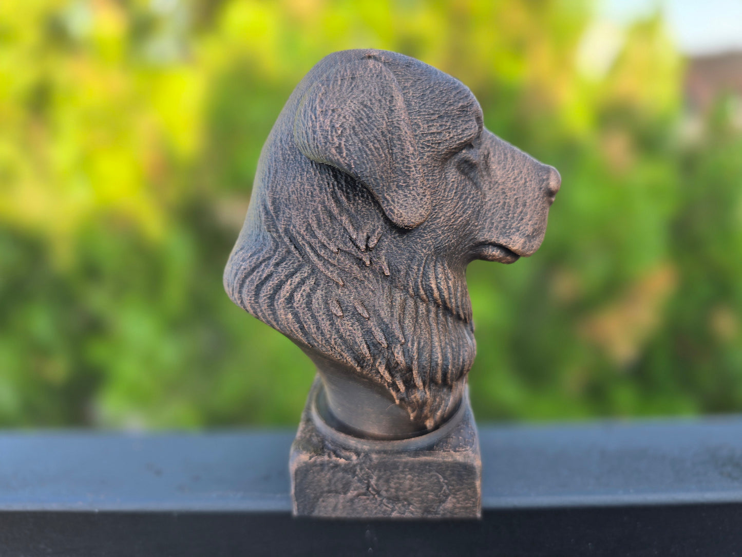Caucasian Shepherd Bust