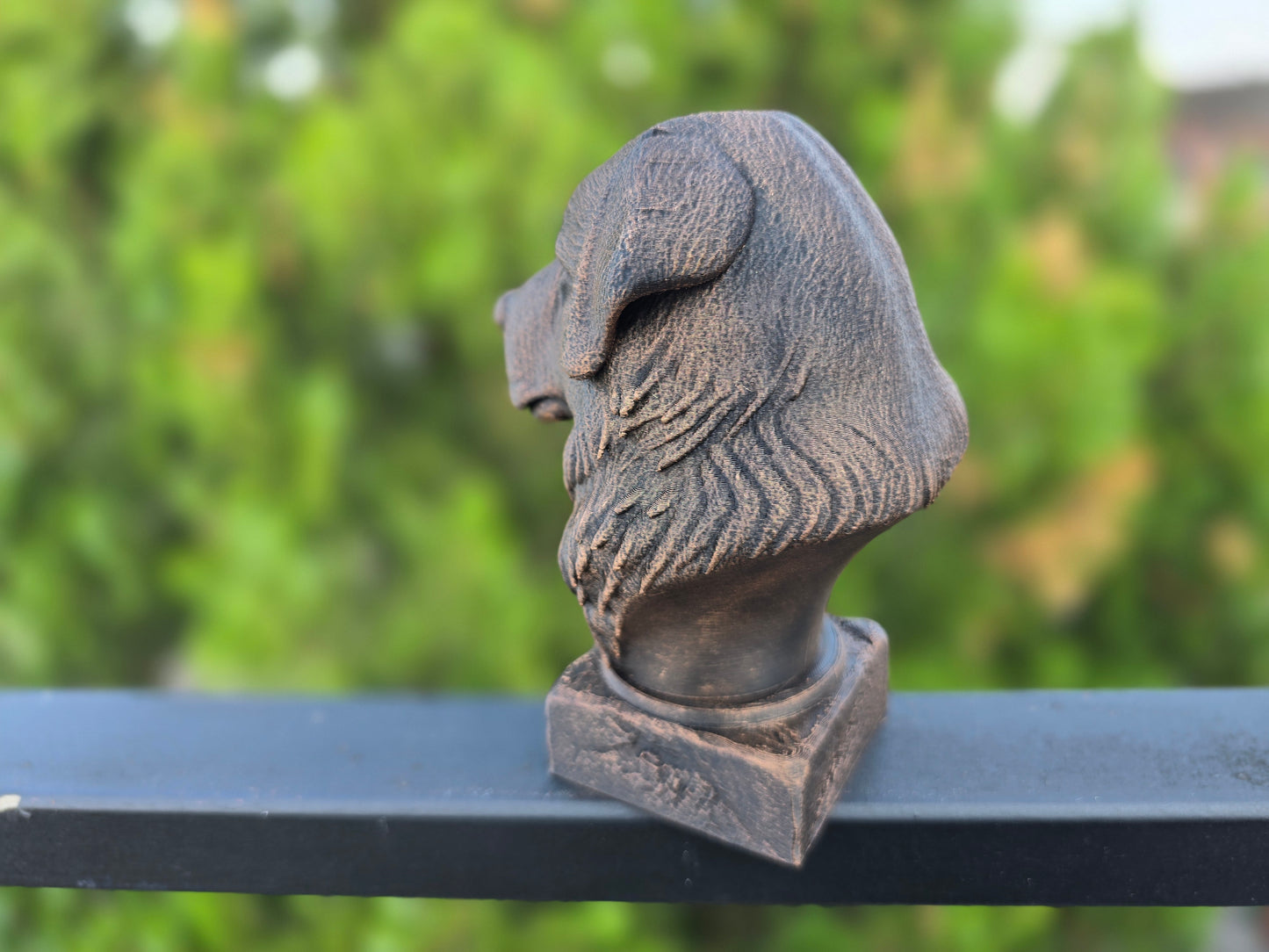 Caucasian Shepherd Bust