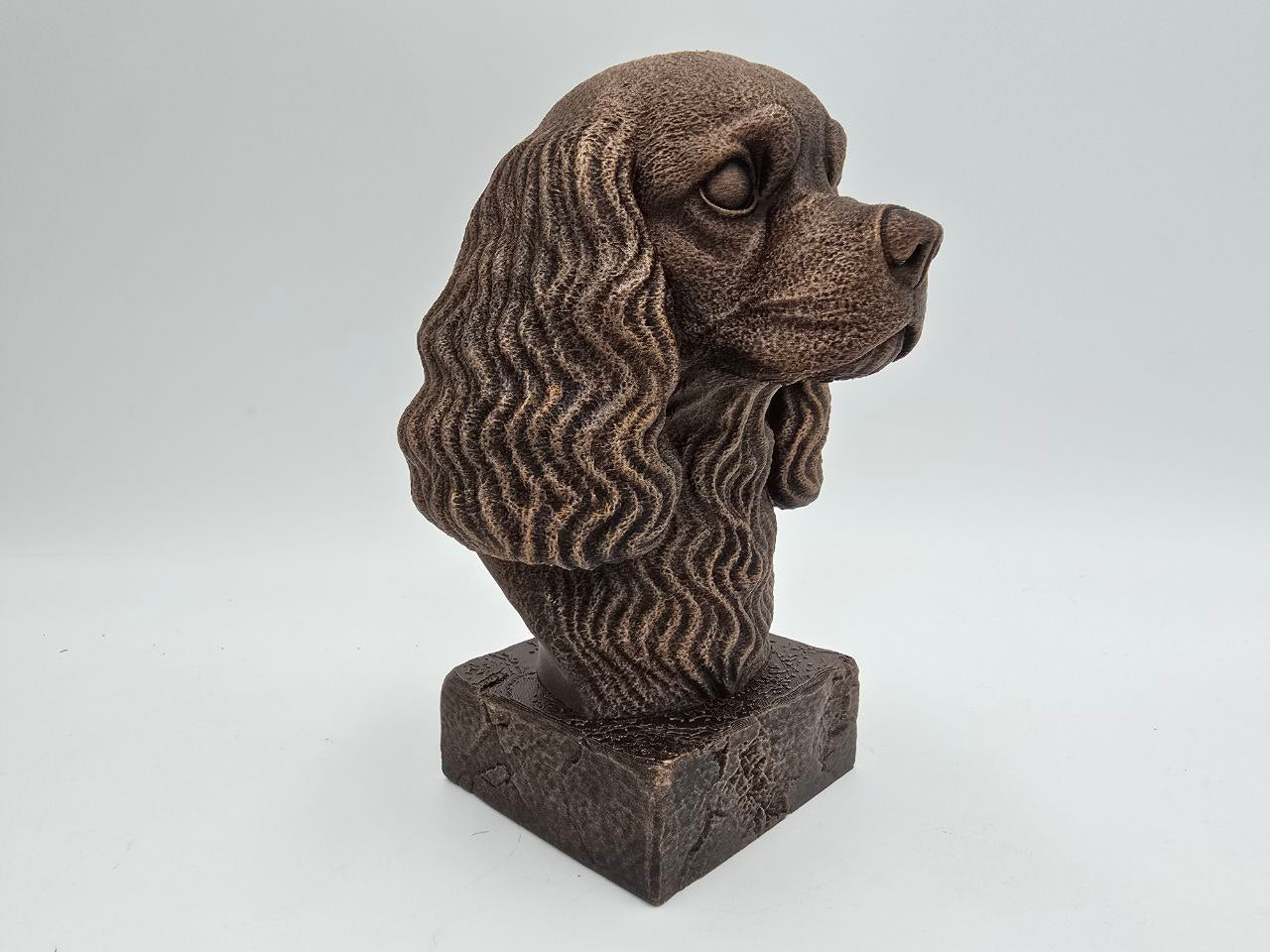 Cavalier King Charles Spaniel Bust