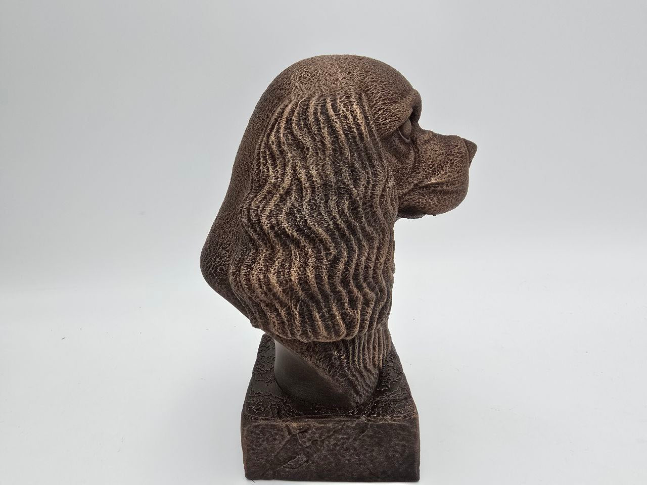 Cavalier King Charles Spaniel Bust