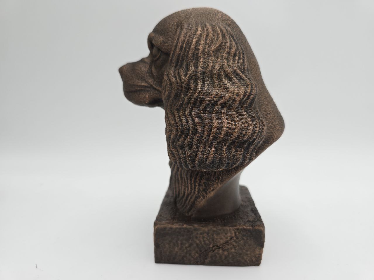 Cavalier King Charles Spaniel Bust
