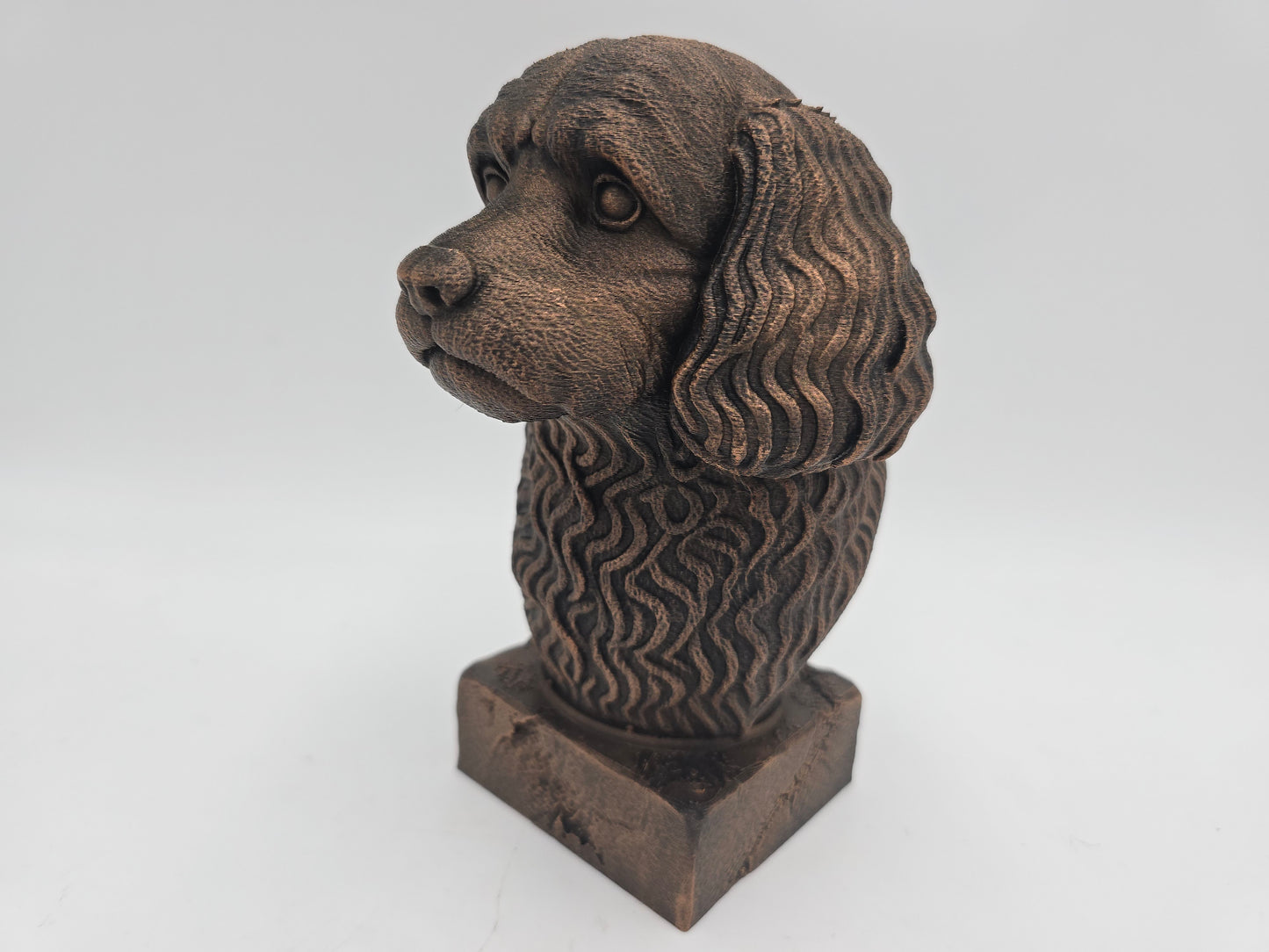 Cavapoo Bust