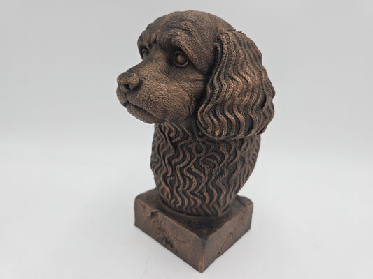 Cavapoo Bust
