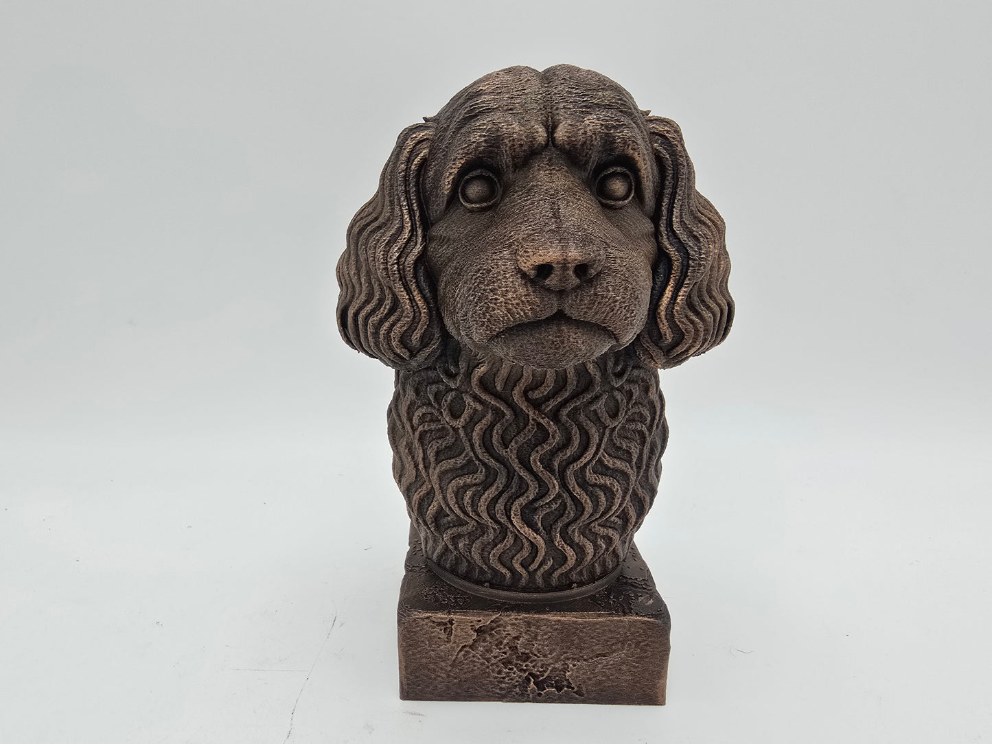 Cavapoo Bust