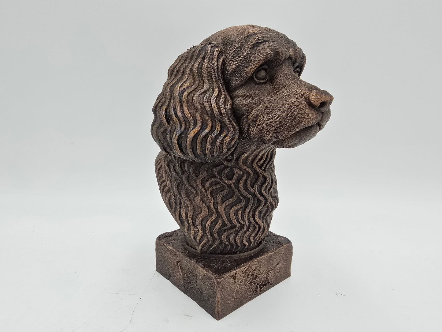 Cavapoo Bust