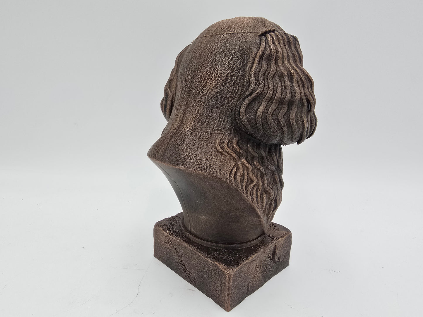 Cavapoo Bust