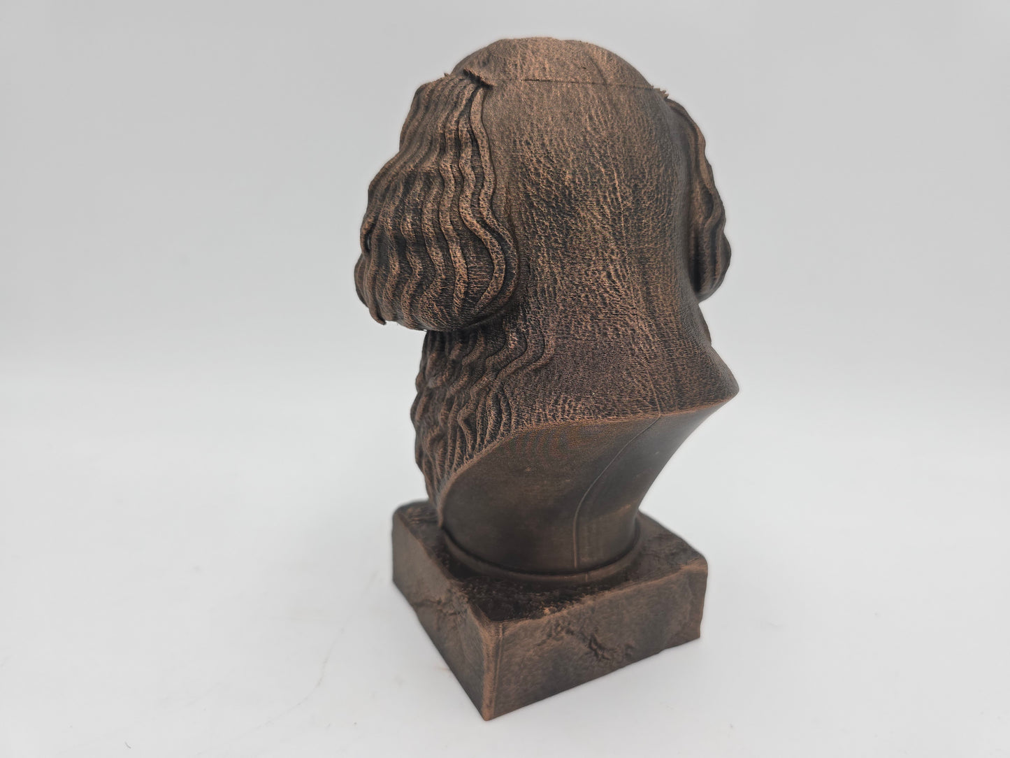 Cavapoo Bust