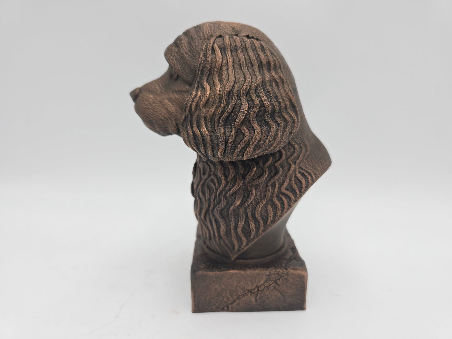 Cavapoo Bust