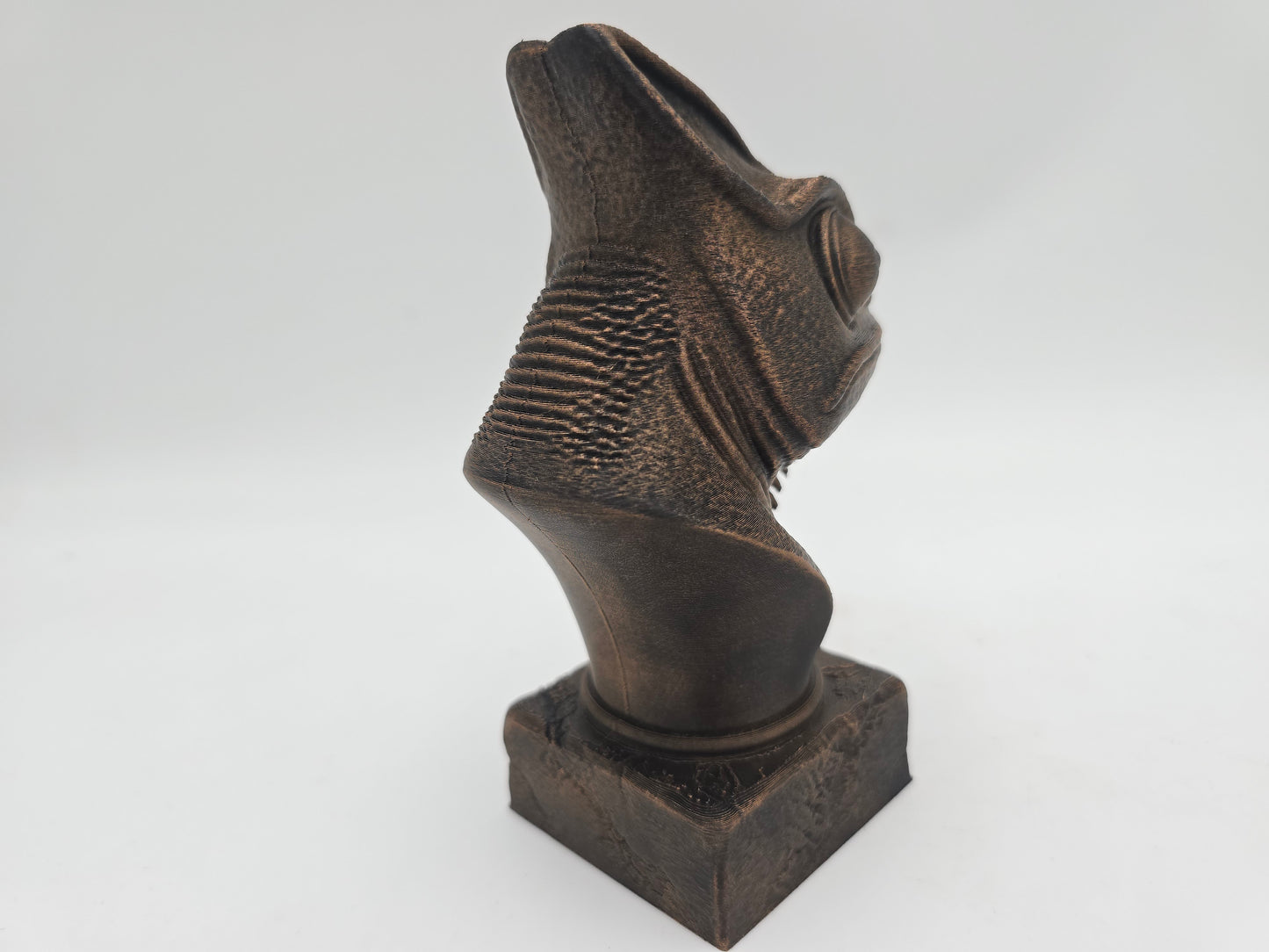 Chameleon Bust