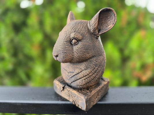 Chinchilla Bust