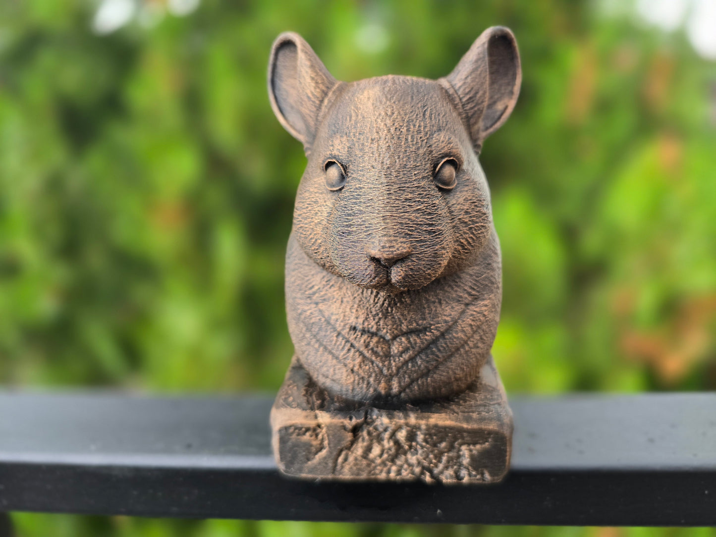 Chinchilla Bust