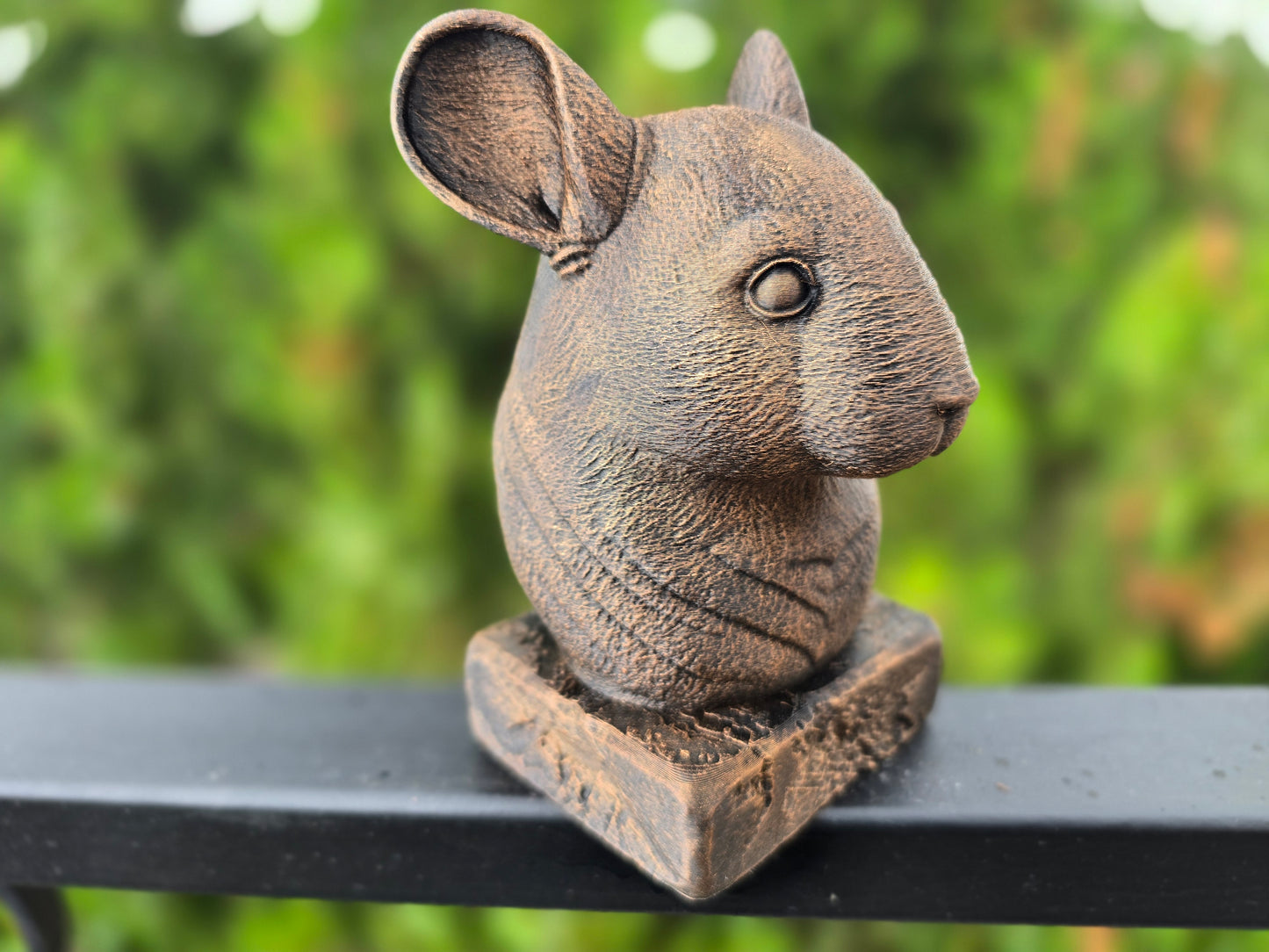 Chinchilla Bust