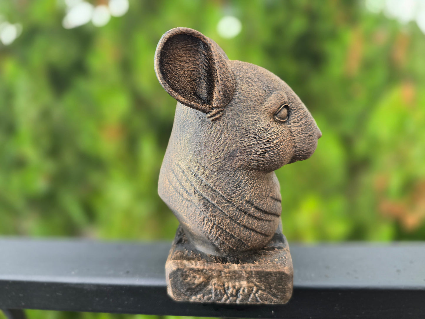 Chinchilla Bust
