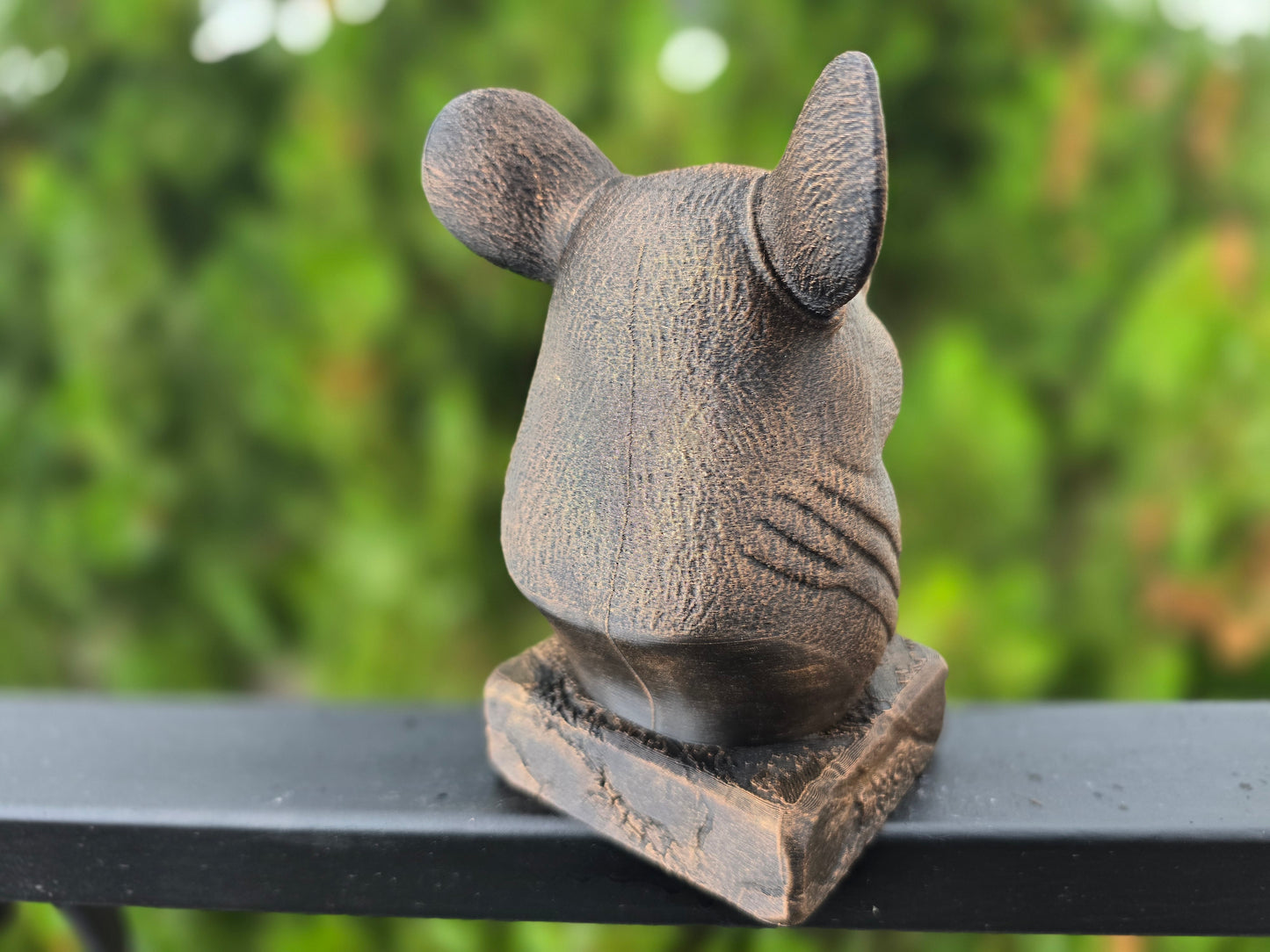 Chinchilla Bust