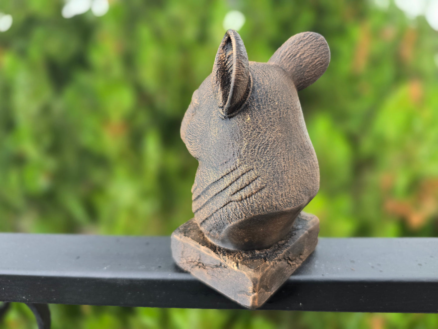 Chinchilla Bust