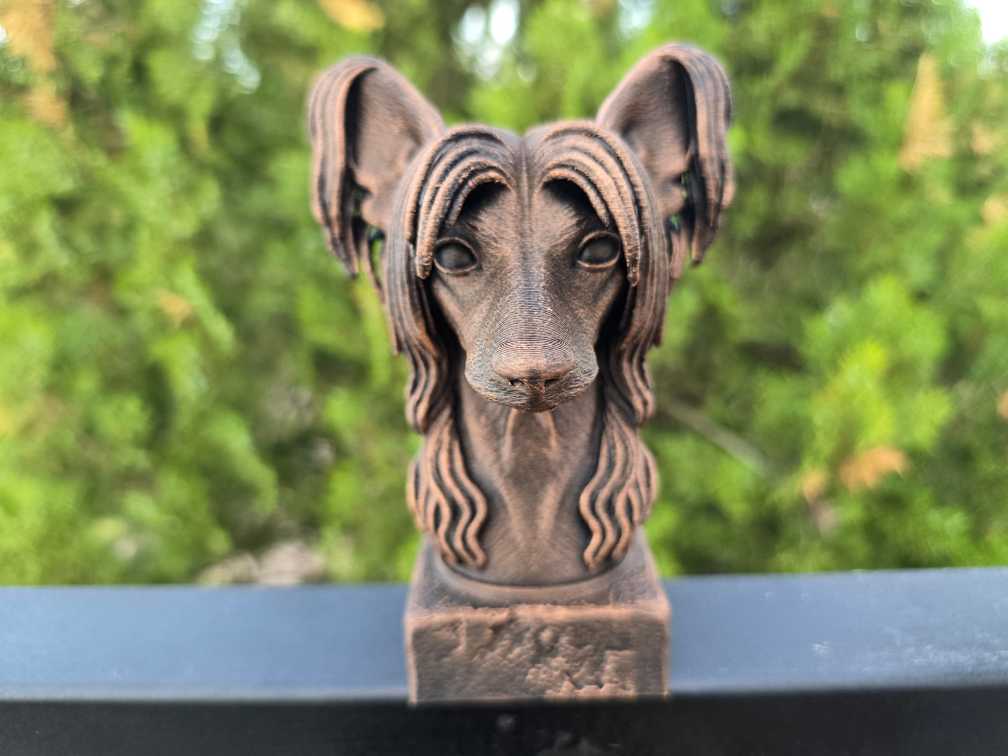 Chinese Crested Bust