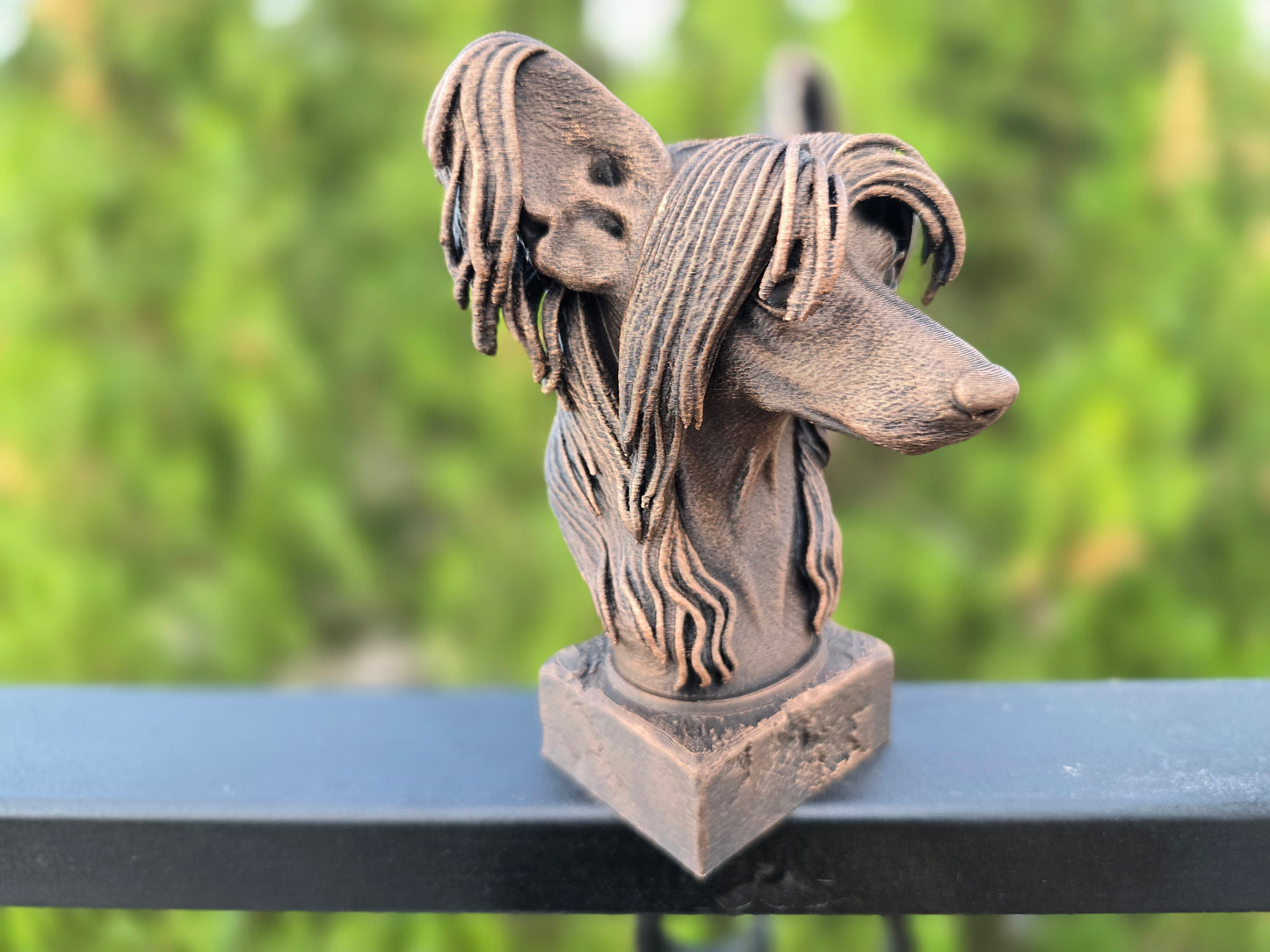 Chinese Crested Bust