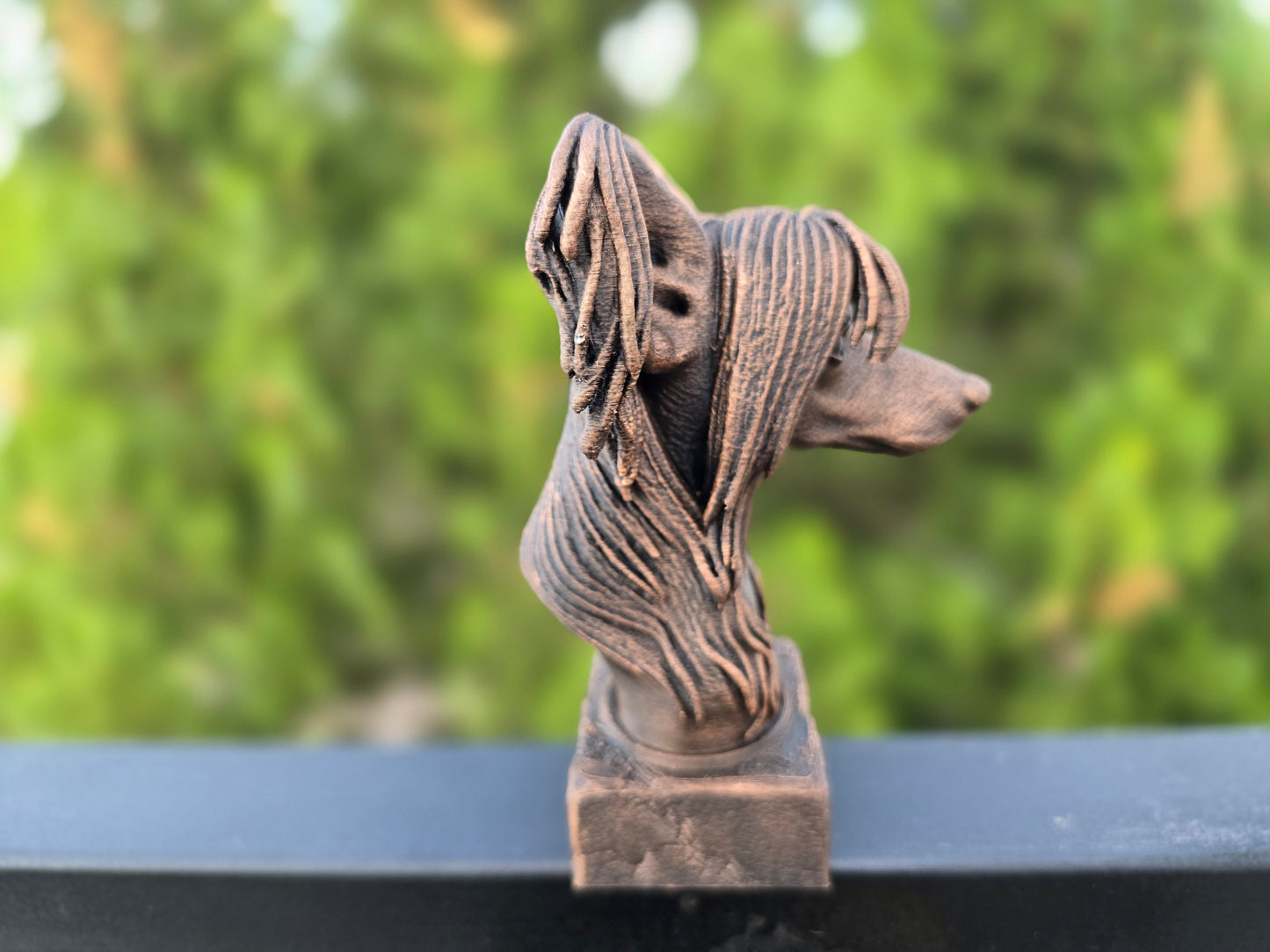 Chinese Crested Bust