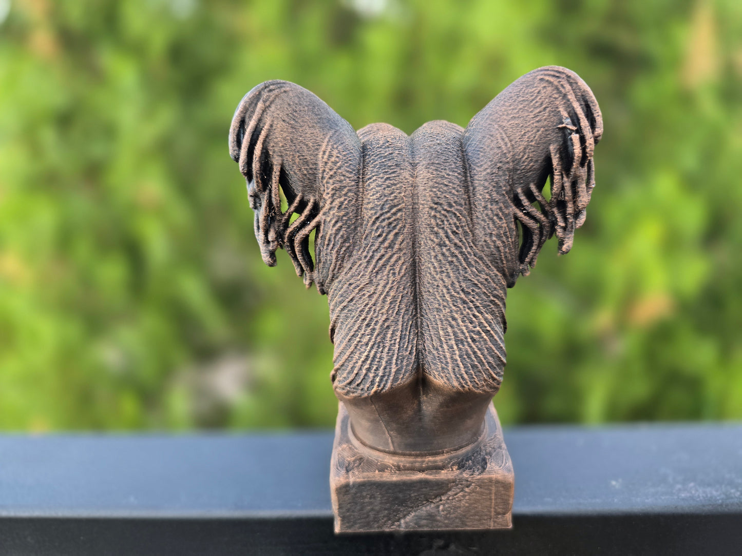 Chinese Crested Bust