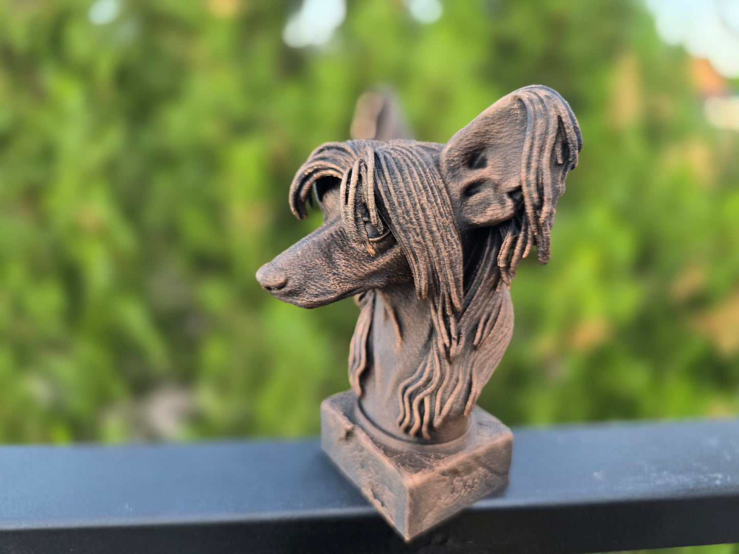 Chinese Crested Bust