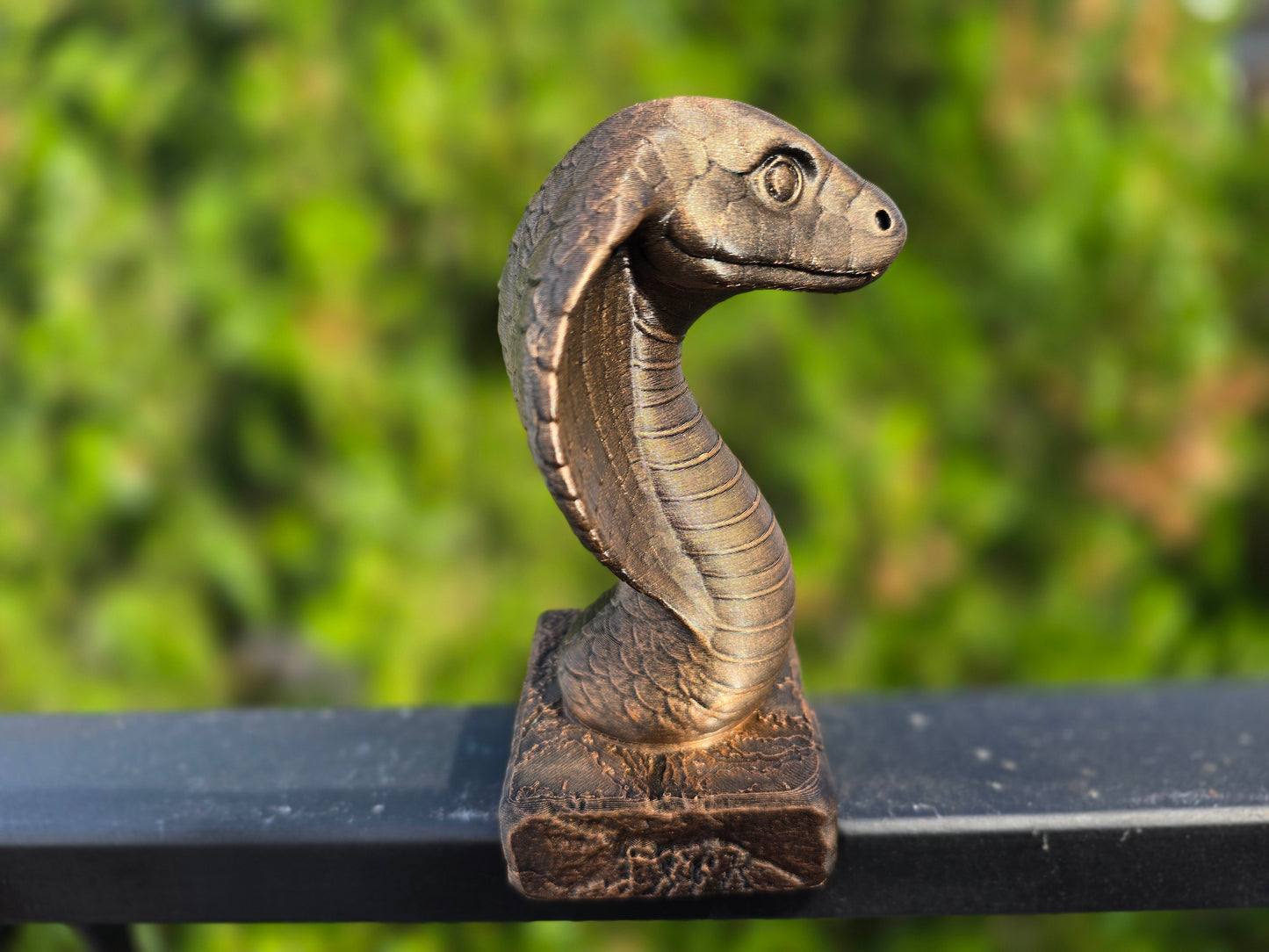 Cobra Bust