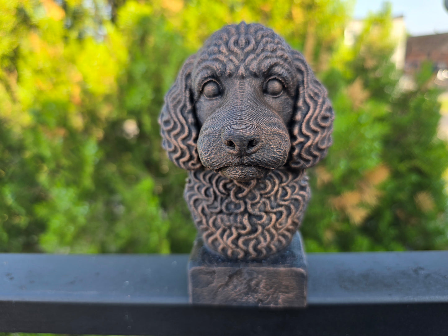 Cockapoo Bust