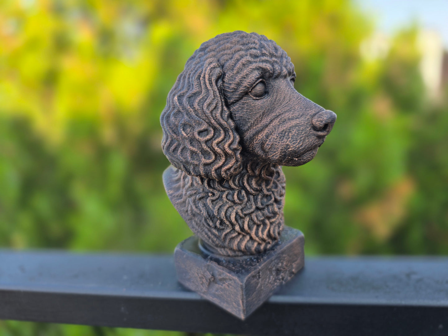 Cockapoo Bust